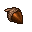 acorn