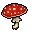 fly agaric